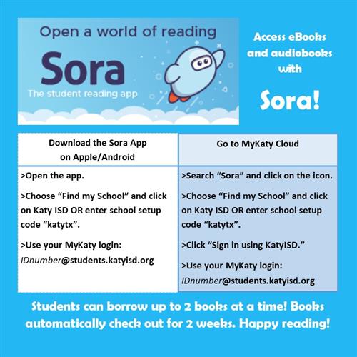 access ebooks and audio books with sora